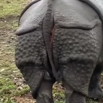 Oh shit, big faaaaart😷