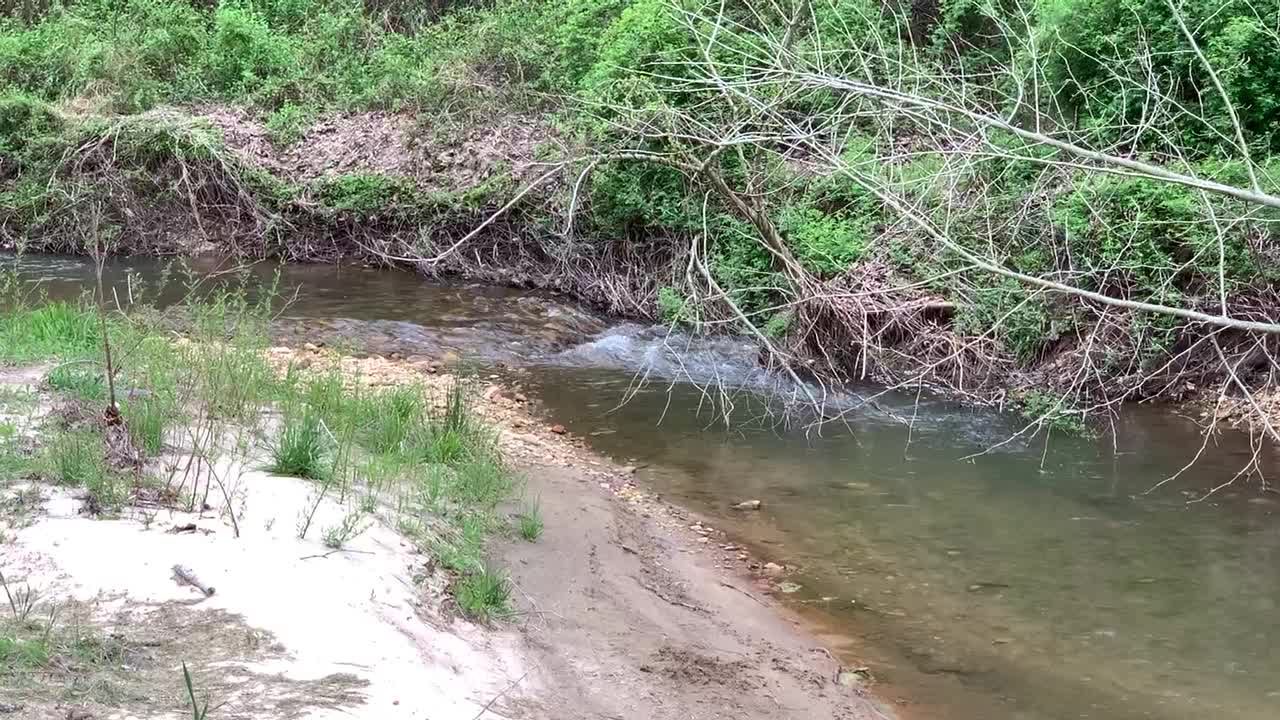 Creek Therapy!