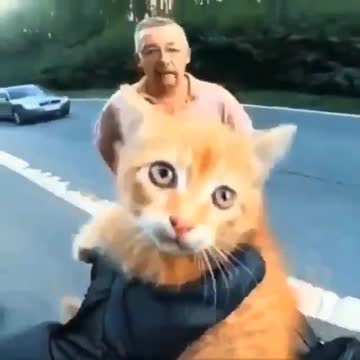 Look what this motorcyclist finds on the road