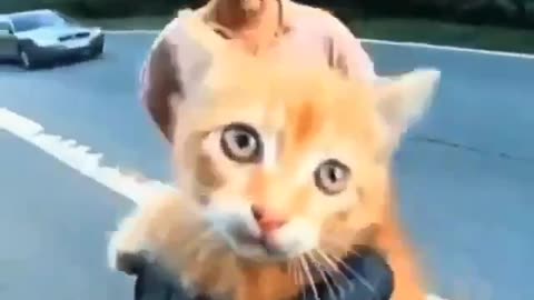 Look what this motorcyclist finds on the road