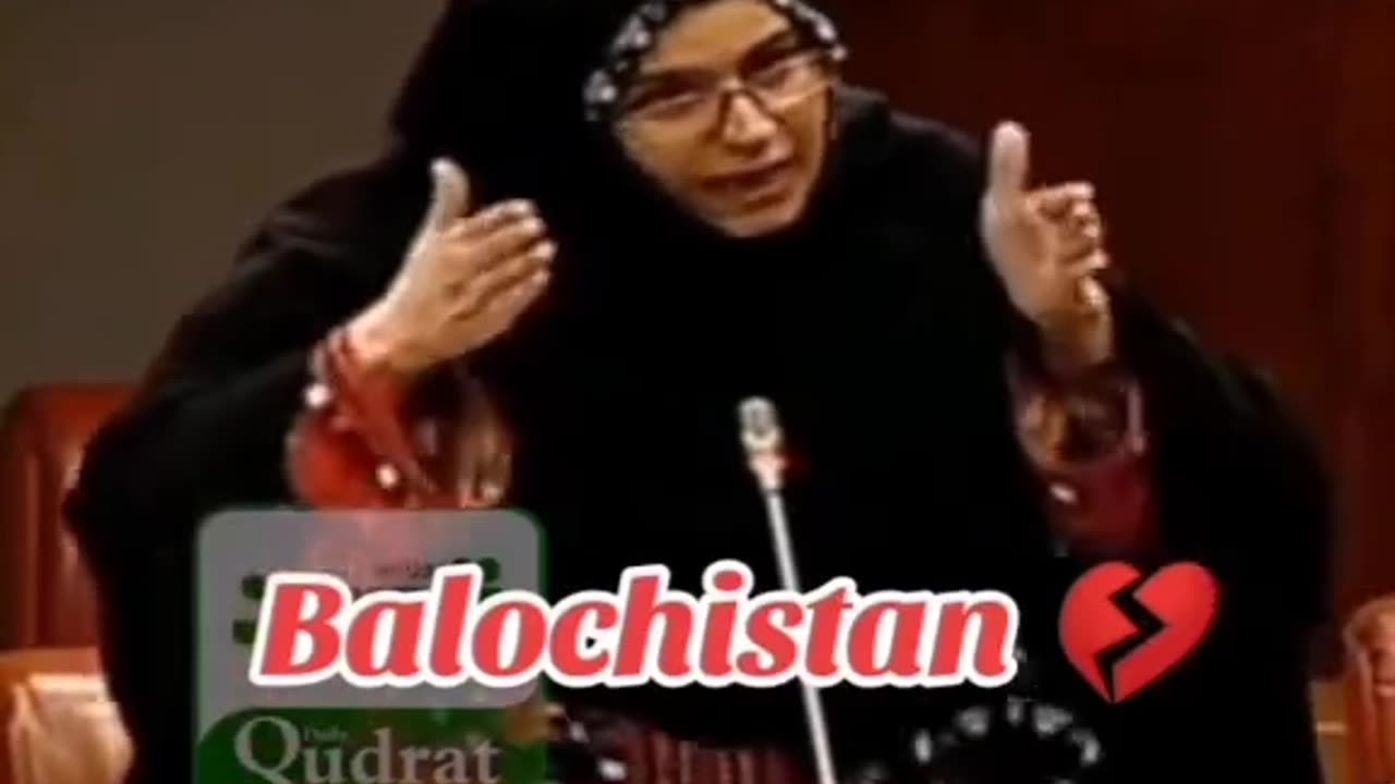 LADY SENATOR SAYS PAKISTAN IS DOING SAME AS IDF WITH PALESTINIONS