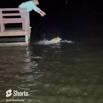 She Threw the Dog in the Lake and You Went Believe What Happened Next