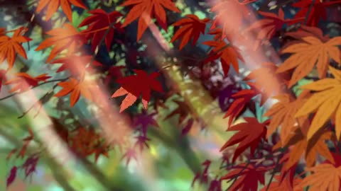 「君の名は。」予告
