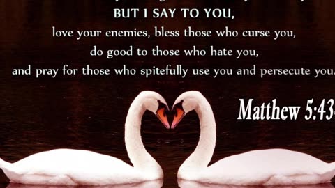 Morning Prayer against Hate #youtubeshorts #grace #jesus #mercy #faith #fyp #bless #love #trust #joy
