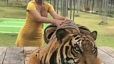 Animals friends lovey