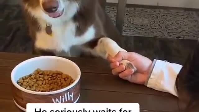 Wait for Dad