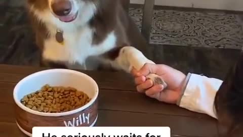 Wait for Dad