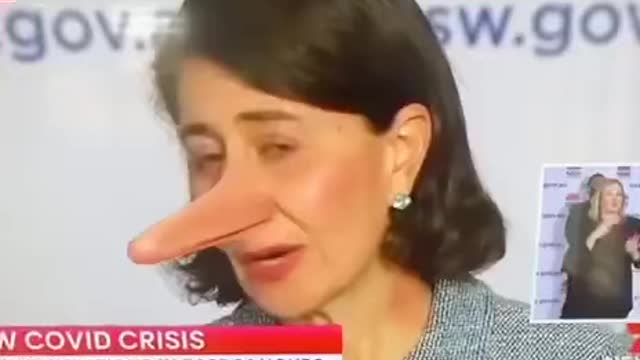 Pinocchio politicians - continuous lies