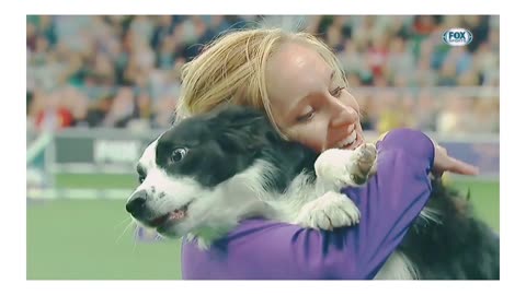Dog training video