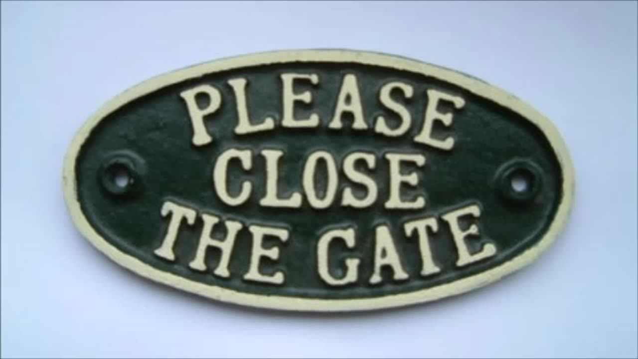 Deplorable decay in manners in Ireland in 1981