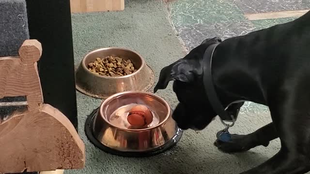 Izzy and the Unobtainable Ball