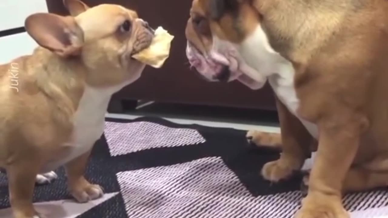 Good work must be appreciated #shorts #shortvideo #video #virals #videoviral