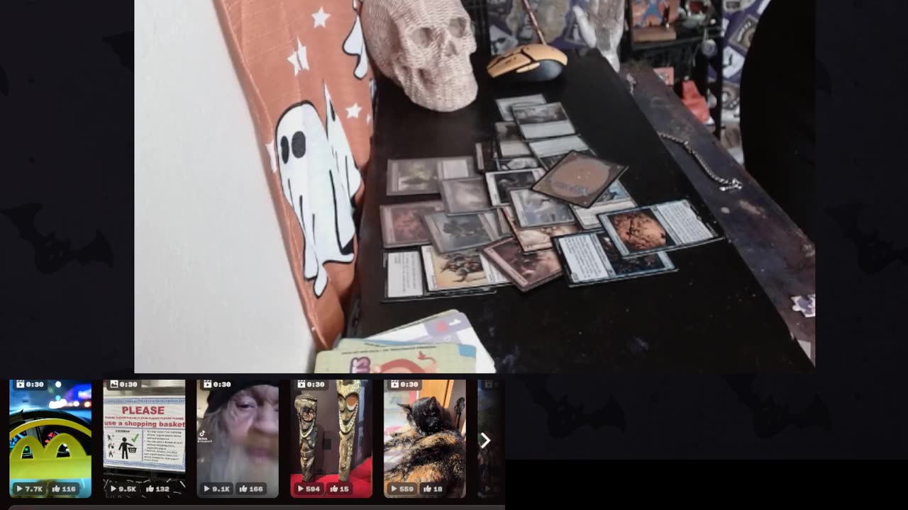 11/05/2024 Vlog/ MTG tarot reading