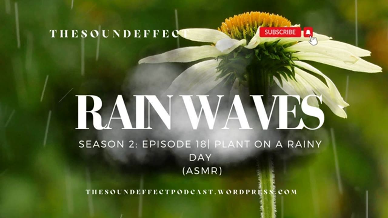 Rain Waves | Season 2: Episode 18 | Plant on a Rainy Day (ASMR)