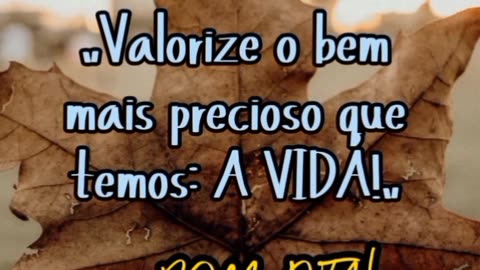 valorize a vida