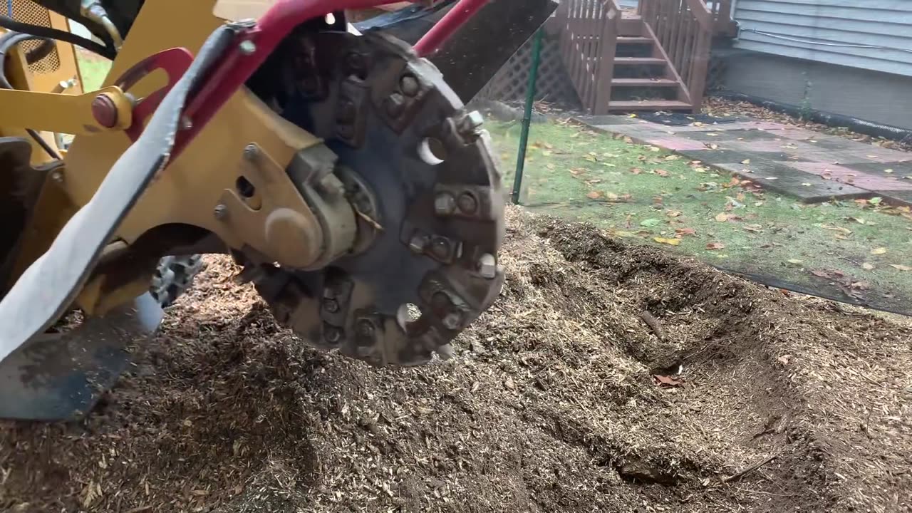 Oak Stump 🌳 Destroyed in 10 Minutes ⌛