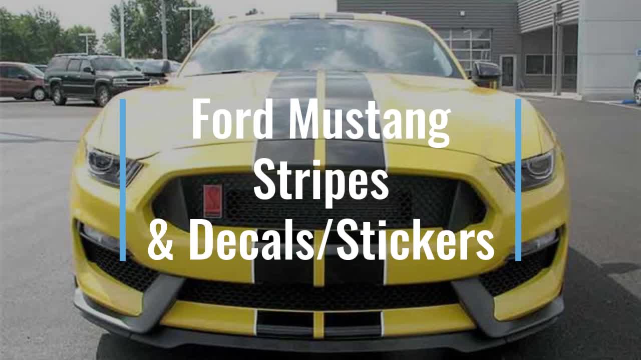 2015 - 2023 Mustang Stripes and Graphics