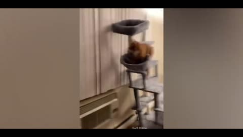 That squirrel 🐿️ banging against the window spinning on the bird feeder was hilarious 🤣
