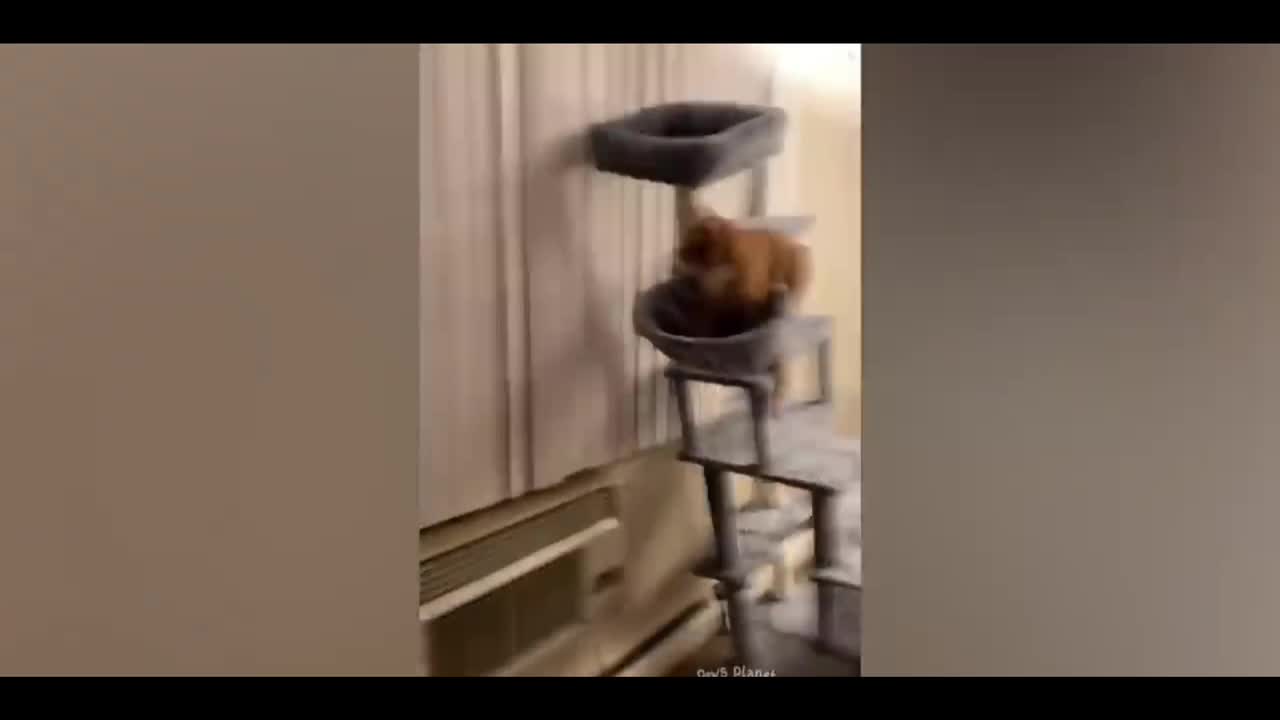 That squirrel 🐿️ banging against the window spinning on the bird feeder was hilarious 🤣