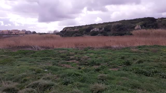 Fanstastic landscape view of Sardinia vegetation