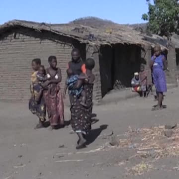 DROUGHT PUSHES MALAWI VILLAGERS TO EAT TOXIC YAMS