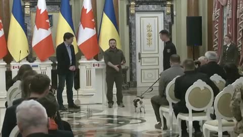 Setkání Zelenského s kanadským premiérem Trudeauem