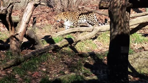 day at the zoo...part one