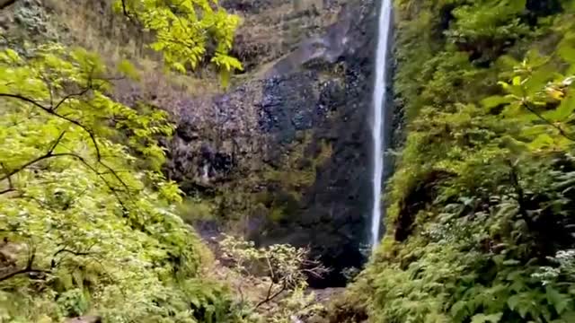 If this isn’t the most beautiful waterfall you’ve ever seen, I don’t know what’s wrong with you! 😍😅
