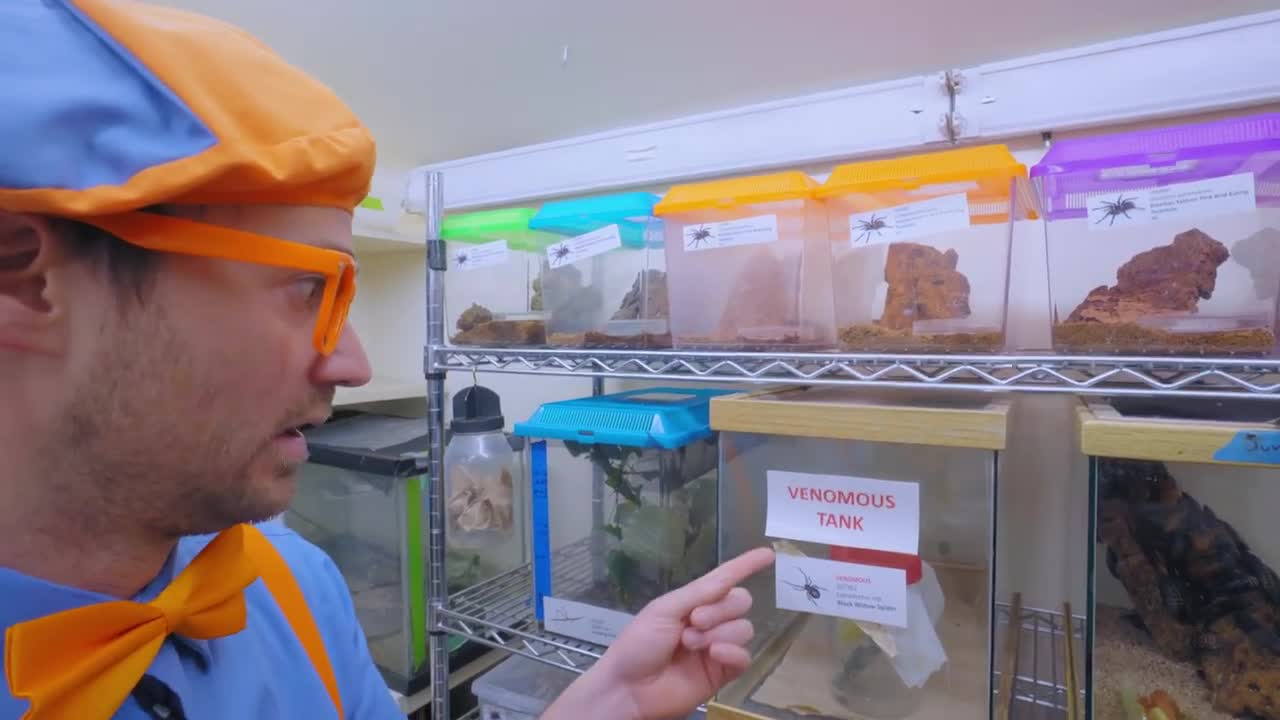 Blippi at the Zoo - Learn English With Blippi!