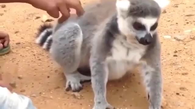 There ... you will be paid for your work