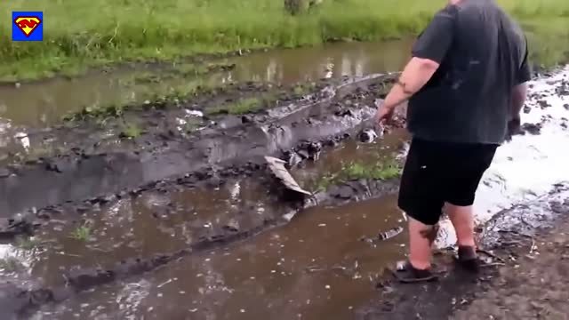 Try not to laugh//FUNNY VIDEOS//