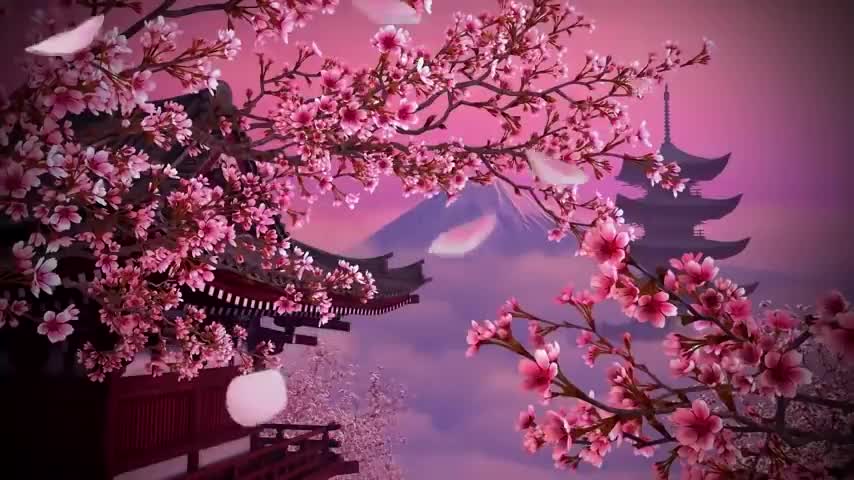 Beautiful Japanese Music For Relaxation _ Sakura Blossoms _ Japanese Koto Music-(480p)