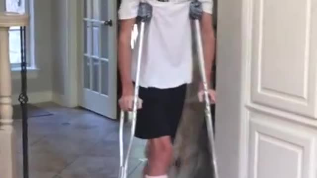 Dog Perfectly Mocks Teenager's Broken Leg 'Walk'