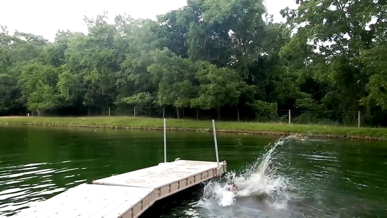 Diving Backwards Fun