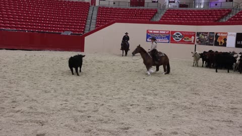 Cutting horse championship at the South Point in Las Vegas.