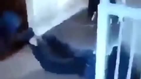 Drunk Olympics