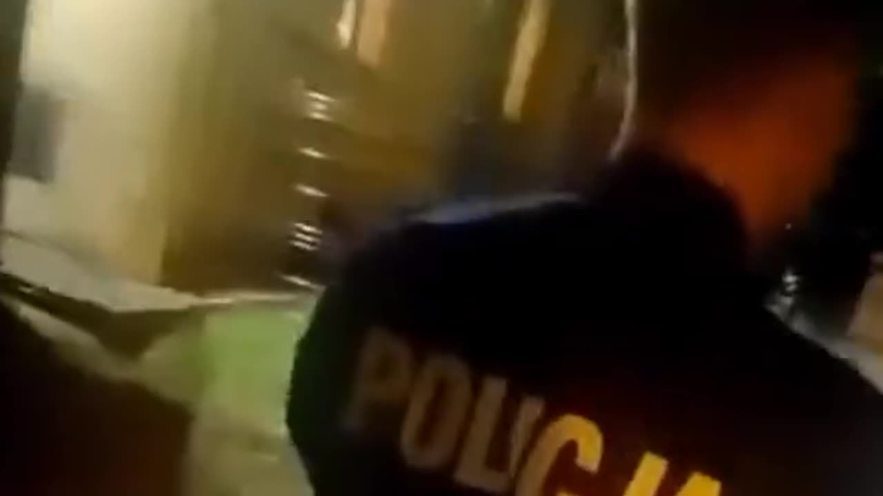 Kogo chroni polińska Policja