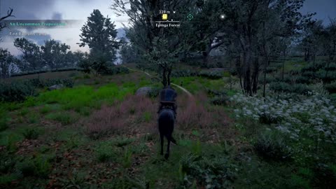 Assassin's Creed Valhalla - An Uncommon Proposition