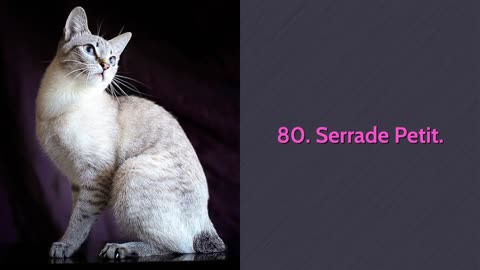 All cat breeds (A-Z) all 98 breeds with pictures