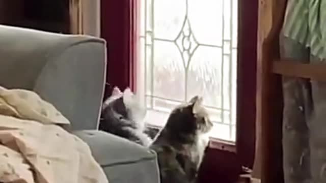 Cat, you have a good sense of rhythm!