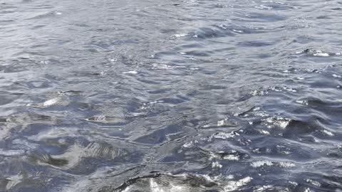 Crabbing Apalachicola