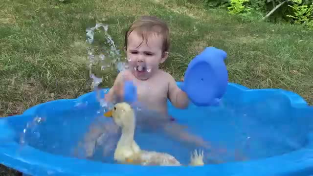 A Baby's Reaction to a Duck.