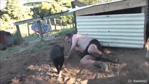 Funny Different Animal Chasing And Scaring People