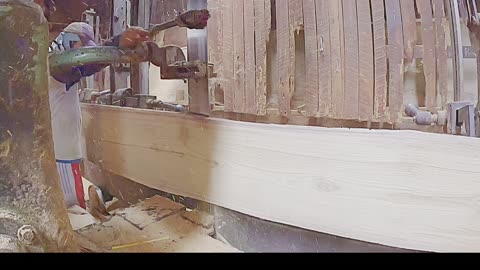 close up view of wood processing at sawmill factory