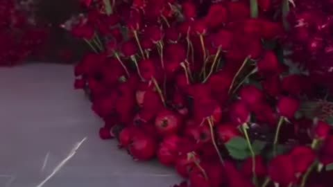 Pomegrante Tree Heaven Made