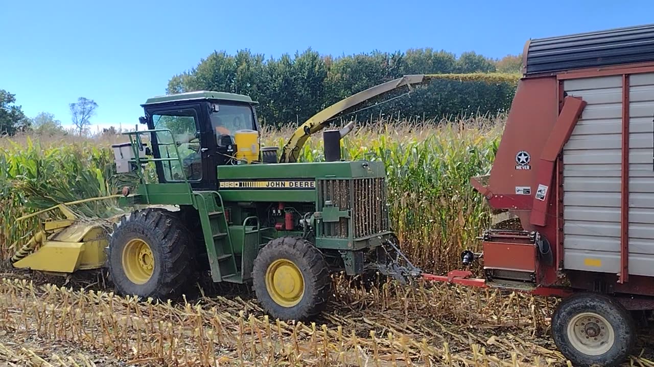 Chopping corn