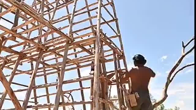 tree house construction prindavan frindavan primitif