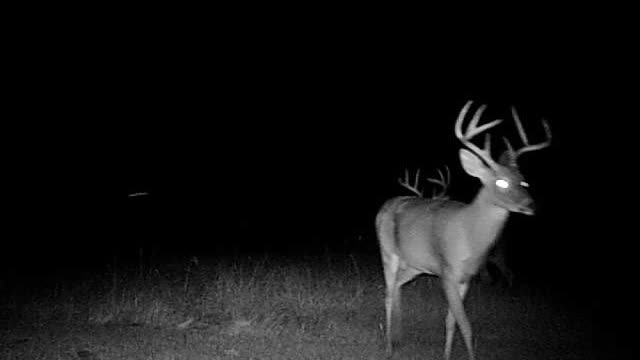 ⚡⚡⚡More Of The Big Boyz⚡⚡⚡