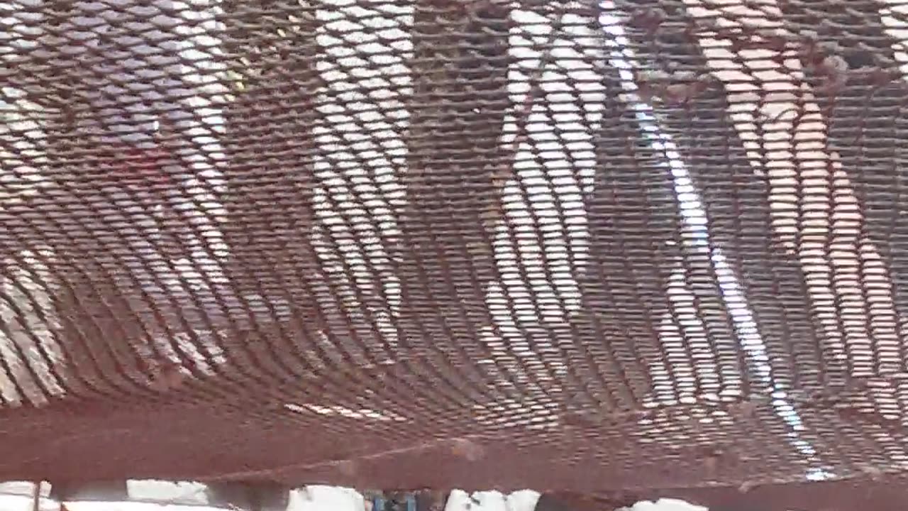 Indian Circus