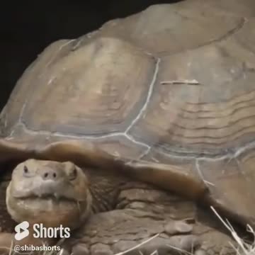 If found please return here